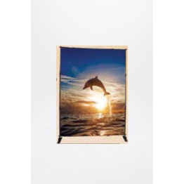 Banner Stand ajustable 122 cm x 240 cm de alto