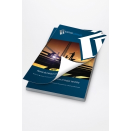 Volantes tamaño 8.5"x11" (Tiro & Retiro) (Couche 100)