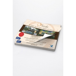 Volantes tamaño 5.5" x 4.25" (Tiro) (Couche 100)