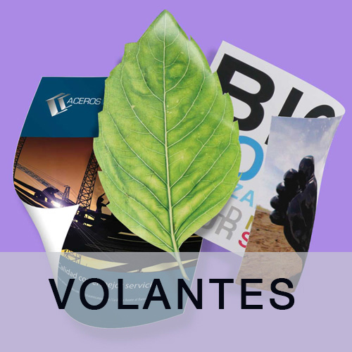 Volantes